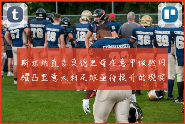 斯尔纳直言莫德里奇在意甲依然闪耀凸显意大利足球亟待提升的现实问题